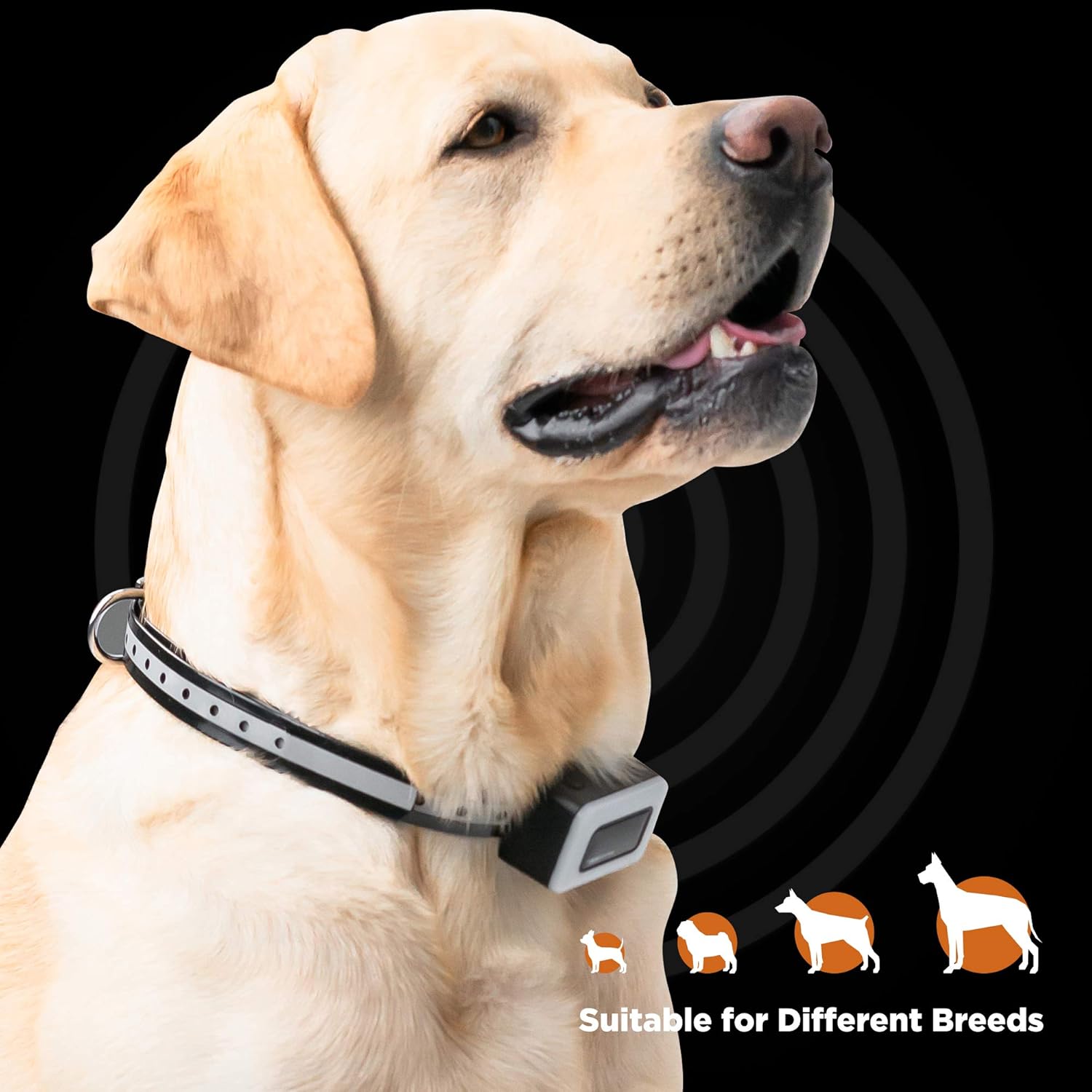 Dog Bark Collar